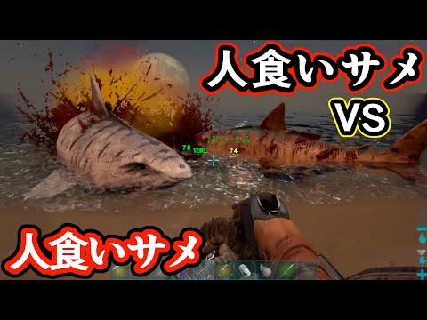 【ARK】人食い鮫を仲間にしたら目の前で別のサメに食べられた ゲーム実況 ARK survivalevolved