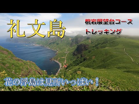 【礼文島 花の浮島】桃岩展望台コースをトレッキング