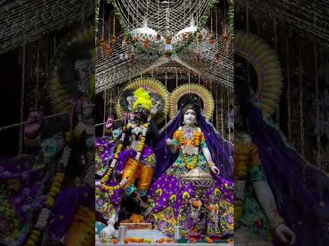 Vrindavan Jaungi #shorts#1million #trending #viral #viralvideo #radhakrishna #vrindavan #bhajan