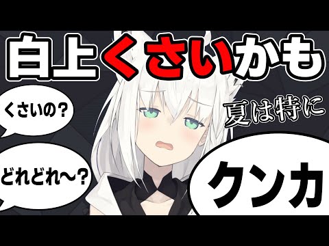 【朗報】白上フブキ今臭いらしい【ホロライブ/切り抜き/白上フブキ】