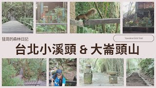 猛哥的森林日記-台北小溪頭環狀步道 Xiaoxitou Circle Trail【起終點：太陽廣場/O型環狀路線】台北小溪頭/大崙頭山/碧溪步道/大崙頭森林步道/hiking/trail