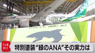 特別塗装“緑のANA”その実力は（2022年10月3日）