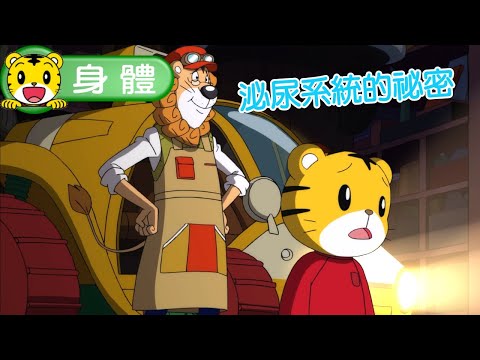 2025年1月號學習版【不可思議的大發現】泌尿系統的祕密