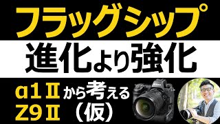 NikonユーザーがSONYのフラッグシップ α1 IIに受けた印象 【カメラは進化と強化のバランスが大事】