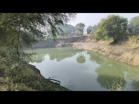 my सिंचाई तालाब।my irrigation pond