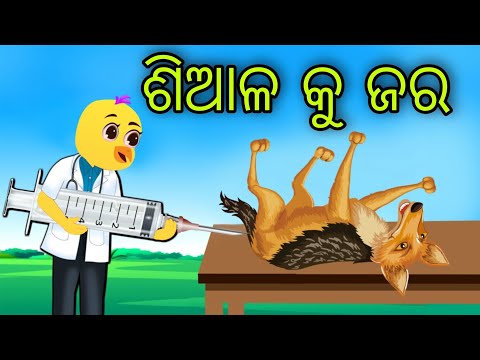 ଶିଆଳ କୁ ଜର | Siala Ku Jara | Tiki Chadhei | Odia Gapa | Chadhei Gapa