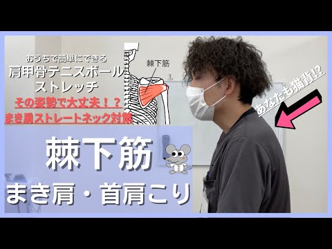 まき肩オススメ！肩甲骨のテニスボールストレッチ（棘下筋）