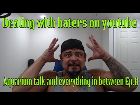 Dealing with haters on youtube