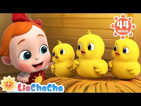 Little Chicks | Baby Chicks Peep Peep | Farm Animal Series | Kids Songs & Nursery Rhymes | LiaChaCha