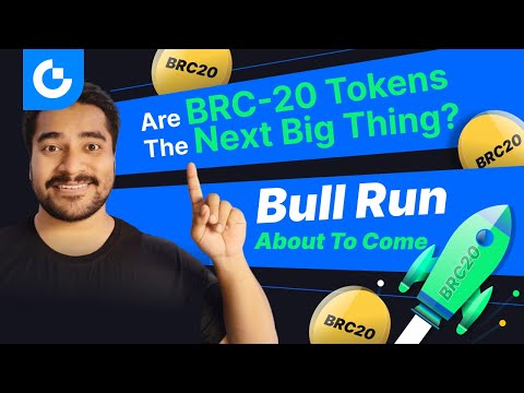 BRC-20 Tokens Unleashed: Will BRC-20 tokens be your wealth code?