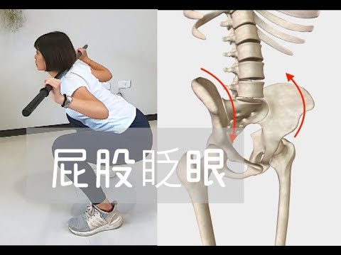 深蹲新手要小心！屁股眨眼的問題與修正｜詹珞瑤 物理治療師 Veronica Rehab