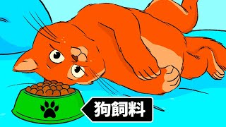 為什麼貓咪不能吃狗飼料