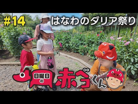 はなわダリア祭り編「日曜日の赤ベコくん」＃14