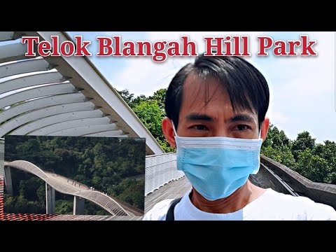 新加坡周末休闲好去处。( Telok Blangah Hill Park 2021 ) 新加坡最高的人行桥。