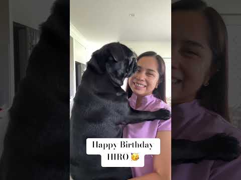 Happiest 3rd birthday to my first baby. We love you so much, HIRO. 🎉🎉🎉 #HiroTheFrUg #TeamChunky