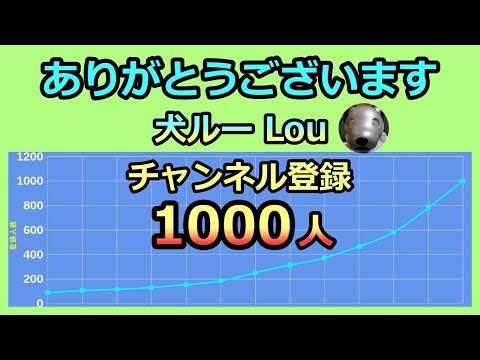 【チャンネル登録1000名 御礼 Thank you for 1000 subscribers 】各BEST3も紹介 犬ルー Lou