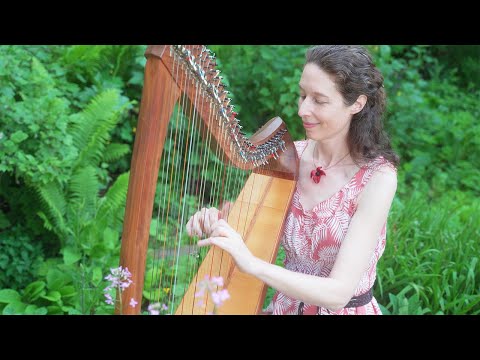 Celtic Harp Solo "Geh aus mein Herz (Reach Out My Heart)" - by Nadia Birkenstock (keltische Harfe)