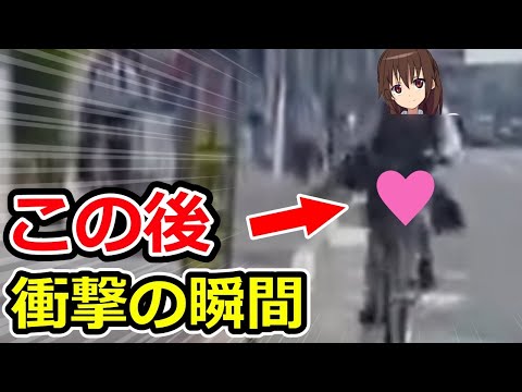 【ドラレコ】逆走する自転車に乗ったお姉さんが…この後衝撃の瞬間【ゆっくり解説】