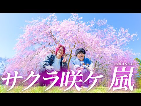 サクラ咲ケ / 嵐【MELOGAPPA】