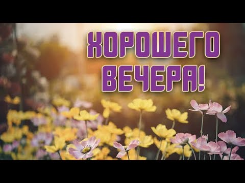 ДОБРОГО ВЕЧЕРА ✨ ПРЕКРАСНОГО НАСТРОЕНИЯ 🤗 МУЗЫКАЛЬНАЯ ОТКРЫТКА 🎶