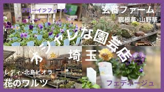 オシャレな園芸店🪻パンジービオラはここ‼︎花のワルツ🌸/珍しい宿根草山野草がある玄蕃ファーム🌾埼玉は名店揃い🌸