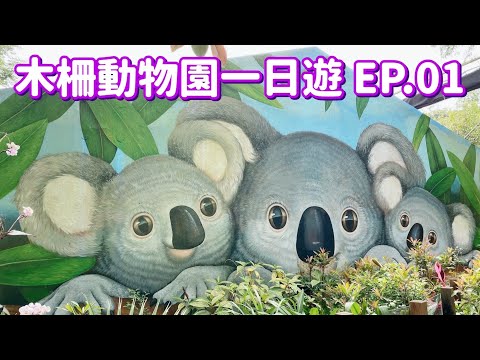 【台北景點】木柵動物園 EP.01 「無尾熊館」、「兒童動物區」（完整記錄）Taipei Zoo