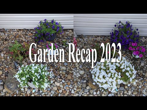 Garden Recap 2023