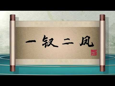 坑王驾到 第四季（最新一期20200704）|一钗二凤|连理枝花开两朵 命中缘死生同衾|郭德纲【高清】单口相声