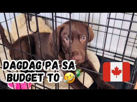 MAGASTOS MAG KA ASO SA CANADA | NAGING SOBRANG BUSY KAMI