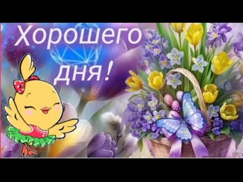 Здравствуй, новый день! 🌸☀️🦋 #музыкальныйприветик #МУЗЫКАЛЬНАЯОТКРЫТКА