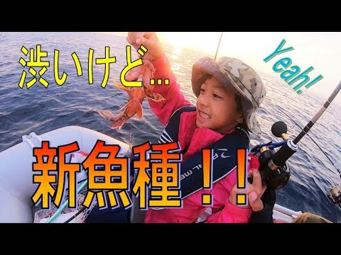 夏の思い出カヤックandゴムボートフィッシング！