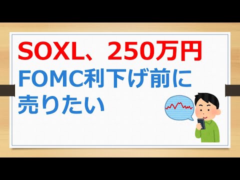 SOXLをFOMCの利下げ発表前に売りたい！　【有村ポウの資産運用】240915-2