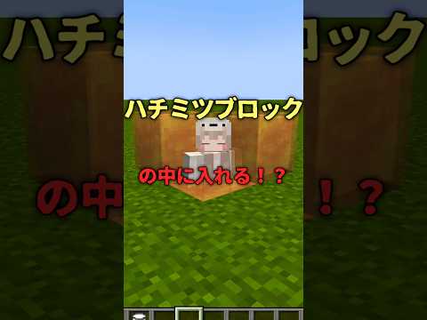 【マイクラ】ハチミツブロックの中に入れるバグ！？#マインクラフト #マイクラ #バグ