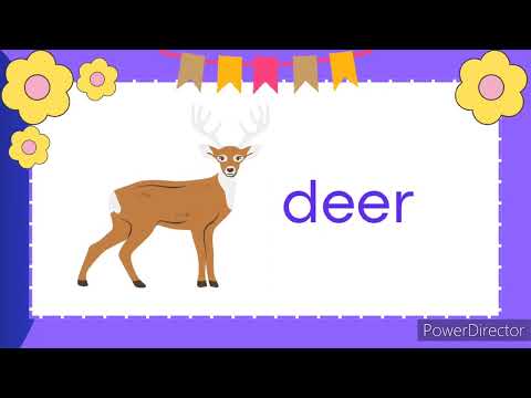 Letter Dd | Letter Sounds | Letters of the Alphabet | Phonics | Read and Learn Words with Letter Dd