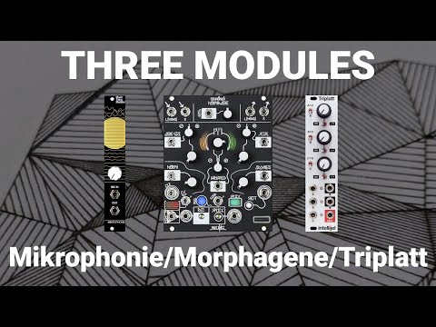 3 Modules: Mikrophonie, Morphagene, Triplatt