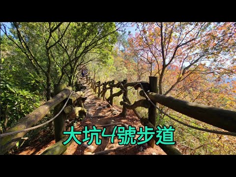 大坑4號步道 4K