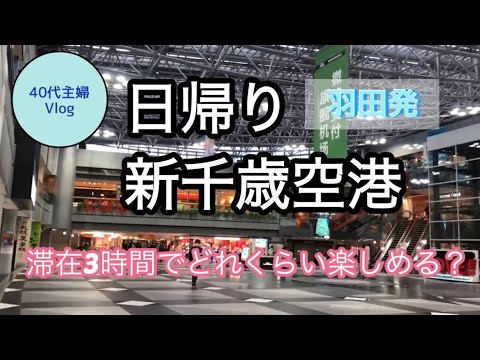 【日帰り旅】たまには夫婦で日帰り北海道【40代主婦旅log】