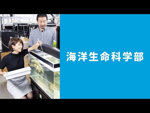 北里大学 海洋生命科学部 学部紹介