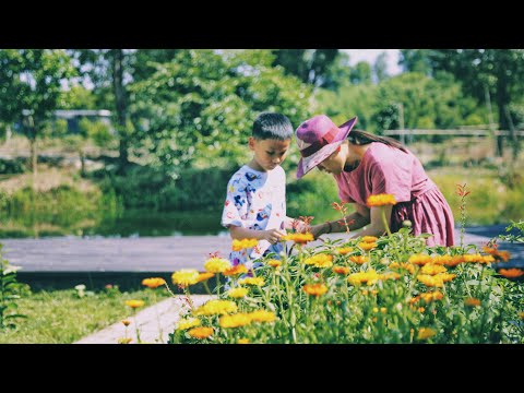 Countryside Slow Life with Flowers | Flower Pasta, Flower Ice, Dry Flower Tea |Flower Season Harvest