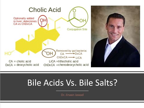 What Are Bile Salts/Conjugated Bile Acids?