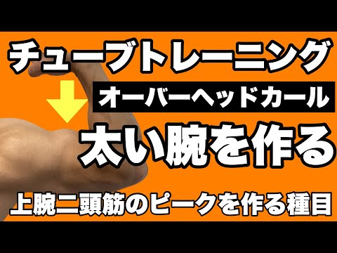 【上腕二頭筋】力こぶのてっぺんを高くするチューブトレーニング！