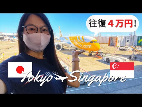 [2022 Nov] Tokyo to Singapore with Scoot｜via Taipei｜sub En/Jp