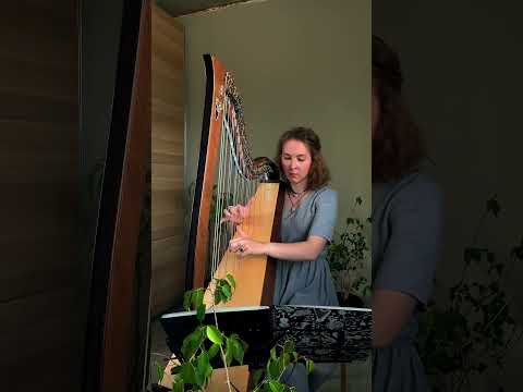 Lannister song #арфа #harp #leverharp #celticharp #harpmusic #lannistersong #therainsofcastamere