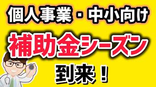 最新・中小・個人事業向け補助金・補正予算成立へ・一覧最新確認方法【中小企業診断士・行政書士 マキノヤ先生】第2004回