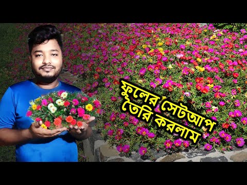 নতুন করে একটি ফুলের সেটআপ তৈরি করলাম | Floral Setup | Mahid Dream Zoo