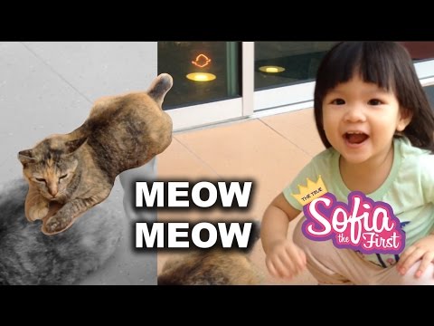 Adorable Little Girl Playing With Cat Meow Meow | The True Sofia The First