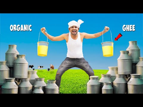 100 Liter Milk = How Much Ghee ?...कितना घी निकलेगा ? | 100% Pure & Organic