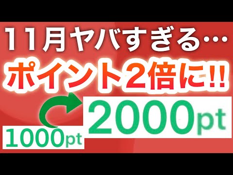 【まさか】11月PayPayも大量‼︎さらにアレが2倍に…‼︎