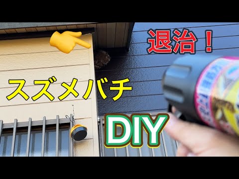 スズメバチの巣駆除DIY  『タワマン大家のDIY日記』