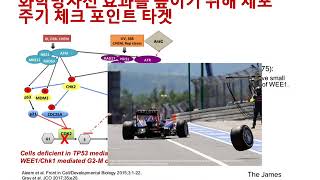 업데이트 : 방사선 종양학의 위 식도암 연구